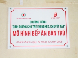 Tiếp sức để học sinh có bữa ăn bán trú an toàn